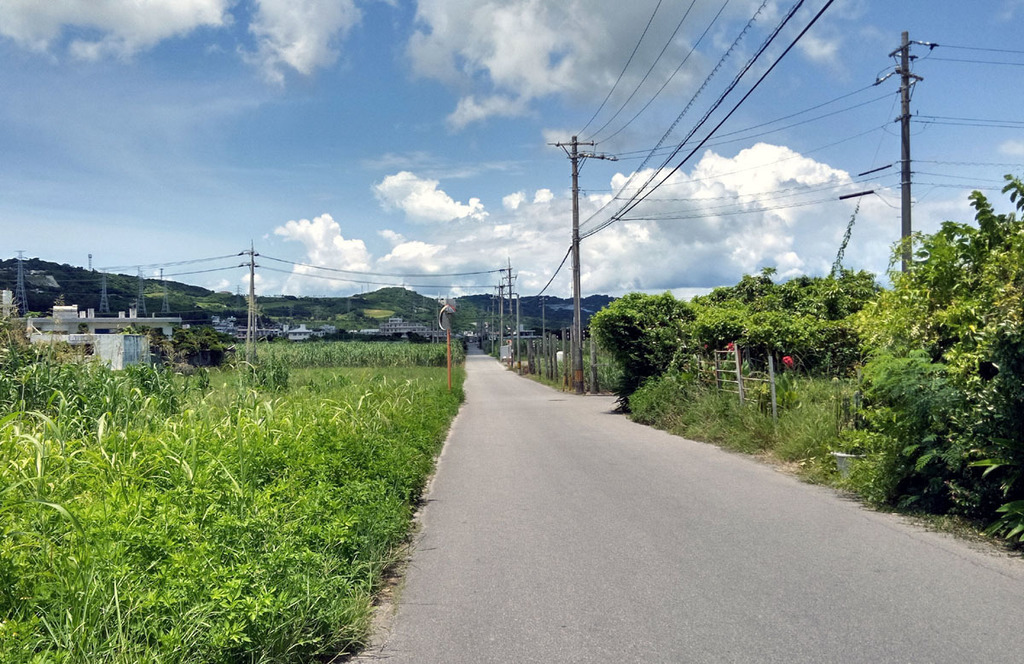 田舎道s.jpg