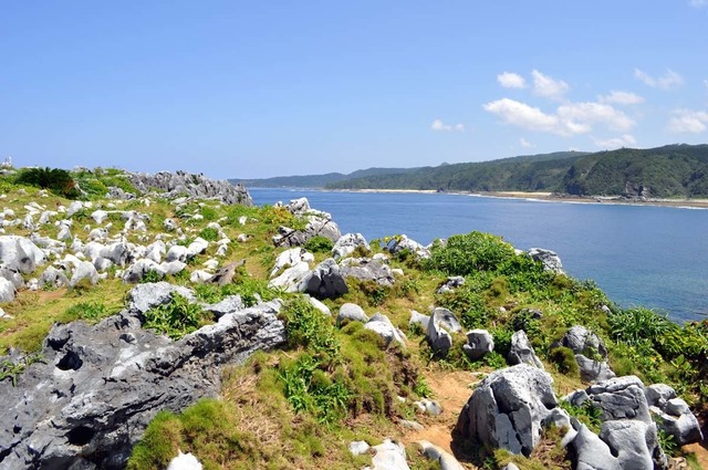 秋吉台似辺戸岬カルスト（小）.jpg
