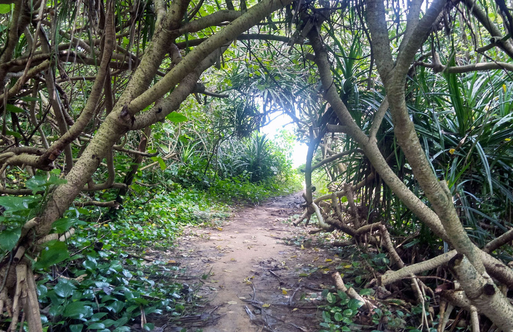 辺野古海岸小.jpg