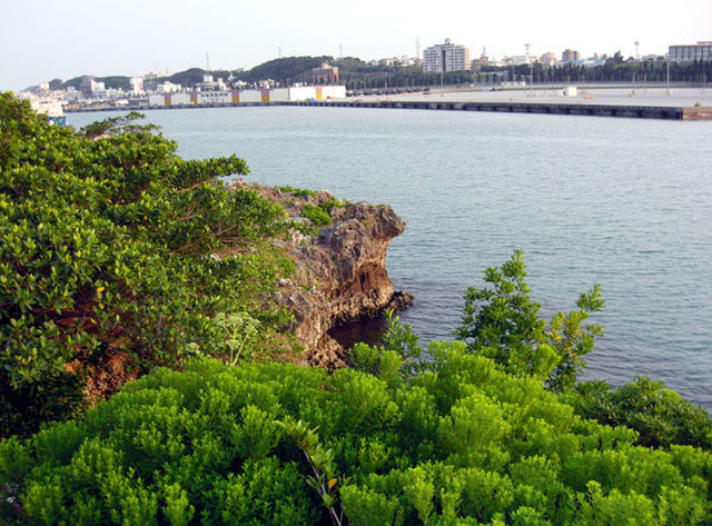 image210.jpg